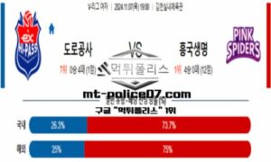 2024년 11월 7일 19:00 V-리그 프로배구 한국도로공사 vs 흥국생명 스포츠 픽