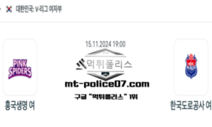 2024년 11월 15일 19:00 V-리그 여자배구 흥국생명 vs 한국도로공사 스포츠 픽 2024년 11월 15일 19:00 V-리그 여자배구 흥국생명 vs 한국도로공사 스포츠 픽