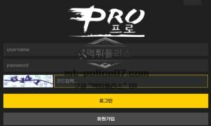 프로 토토 신규사이트 사이트 운영을 프로페셔널하게 하는 건지 먹튀에 프로인지 감시 중