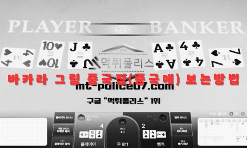 바카라 중국점(중국매) 보는방법