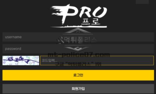 프로