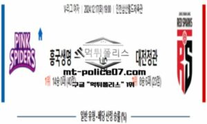 2024년 12월 17일 19:00 V-리그 프로배구 흥국생명 vs 대전정관장 스포츠 픽 2024년 12월 17일 19:00 V-리그 프로배구 흥국생명 vs 대전정관장 스포츠 픽