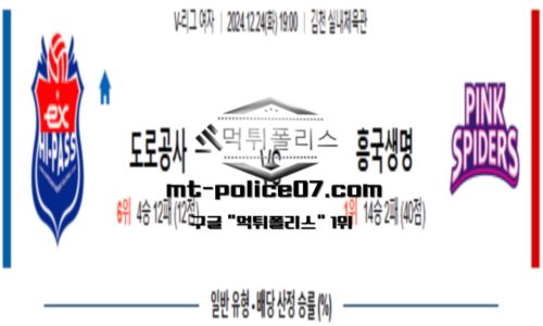 프로배구
