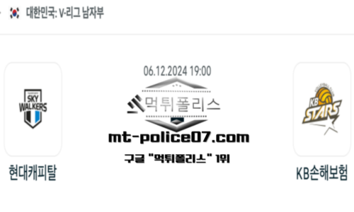 V-리그 남자배구