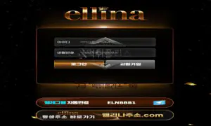 엘리나 먹튀사이트 총판도 같은 편인 먹튀사이트 검거완료