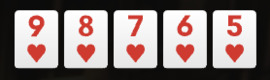카지노 홀덤