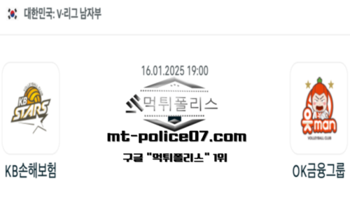 V-리그 남자배구
