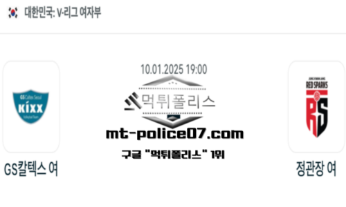 V-리그 여자배구