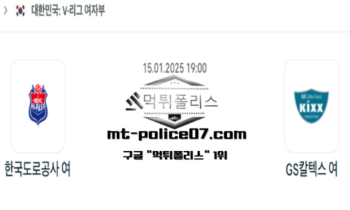 V-리그 여자배구