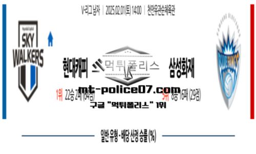 프로배구