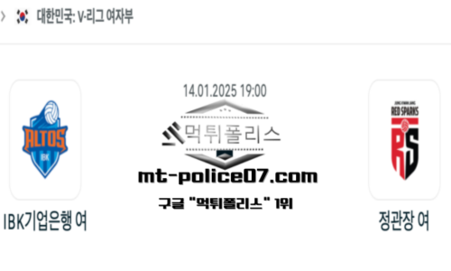 V-리그 여자배구