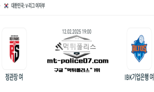 V-리그 여자배구