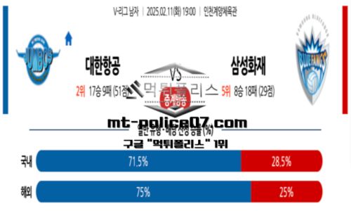 프로배구