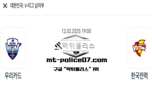 V-리그 남자배구