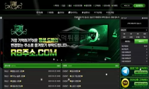 알에스카지노