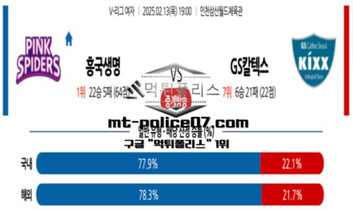 프로배구