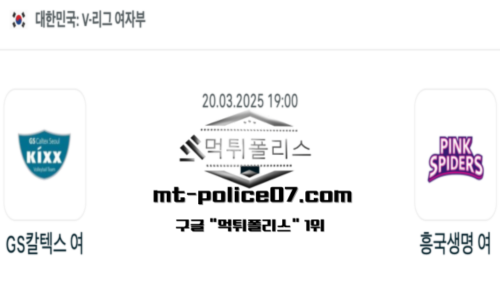 V-리그 여자배구