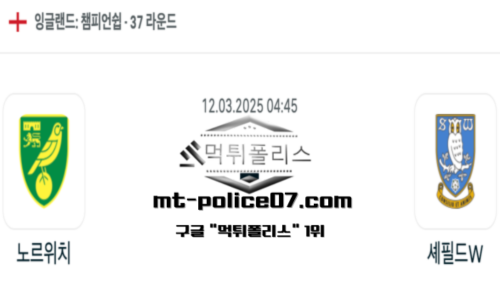 잉글랜드 챔피언쉽