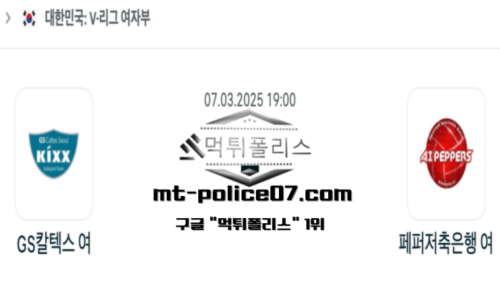 V-리그 여자배구