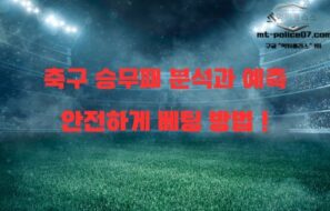2025년 축구 승무패 분석과 예측, 그리고 안전한 토토사이트 선택법