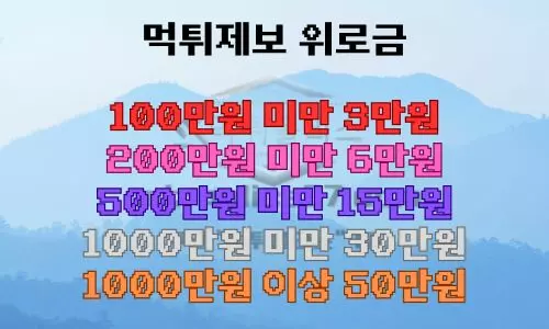 먹튀제보