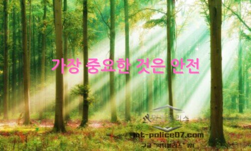 가장 중요한 것은 안전