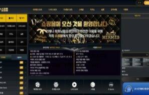 쇼핑몰 먹튀사이트 추가입금을 요구하는 먹튀업체 검거
