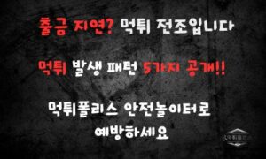 먹튀가 발생하는 패턴 정리: 토토사이트 이용 시 꼭 알아야 할 주의사항