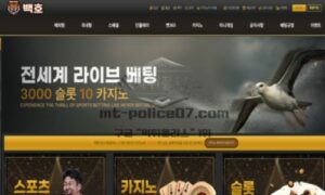 신규 토토사이트 백호(LT-999.COM) 먹튀 검증 결과 안내