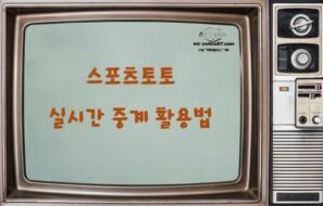 스포츠토토 실시간 중계 활용법|라이브 배팅 승률 높이는 전략