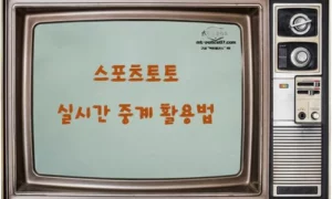 스포츠토토 실시간 중계 활용법｜라이브 배팅 승률 높이는 전략