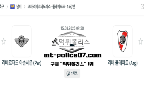 코파 리베르타도레스