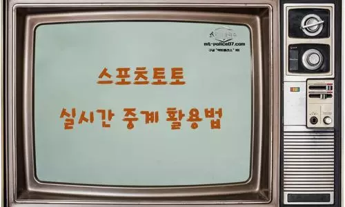 실시간 중계
