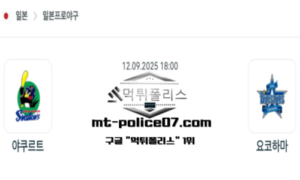 2025년 9월 12일 18:00 NPB 일본야구 야쿠르트 vs 요코하마 스포츠 픽