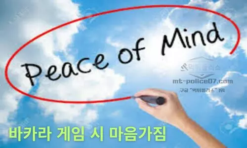 바카라 게임