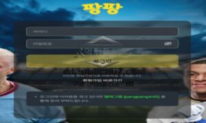팡팡벳 토토 신규사이트 먹튀검증 결과 보고 안내