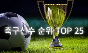 25년 시장가치로 본 축구선수 순위 TOP 25