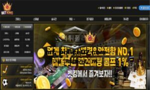 벳킹벳 토토 신규사이트 먹튀검증 결과 보고 안내