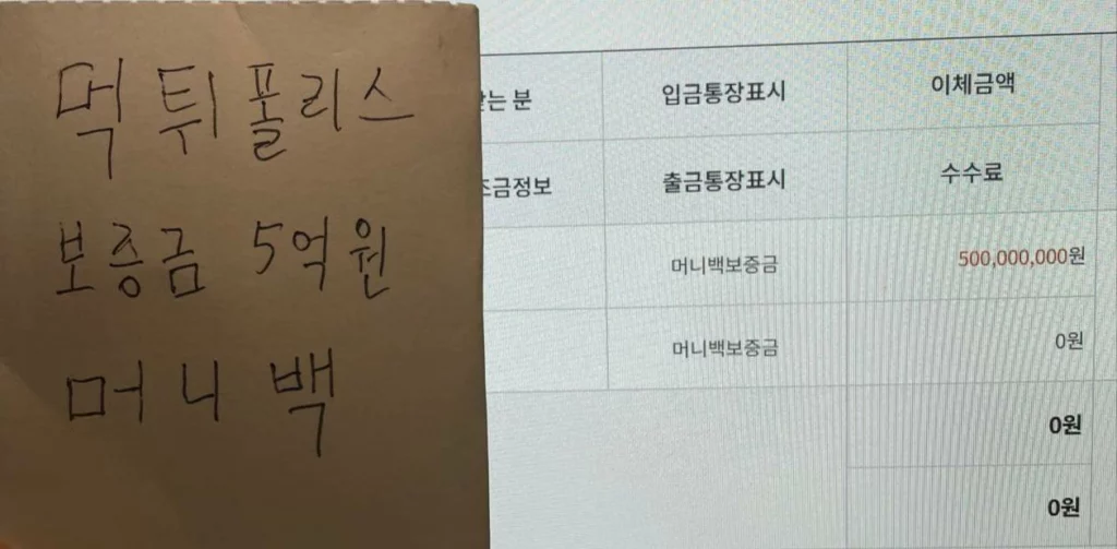 머니백