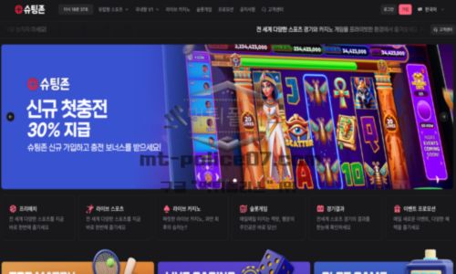 슈팅존