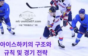아이스하키의 구조와 규칙 및 경기 전략 등에 대해서 알아보자