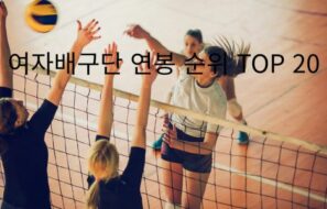 여자배구단 연봉 순위 TOP 20 (2024–25 시즌)