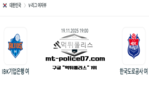 2025년 11월 19일 19:00 V-리그 프로배구 IBK기업은행 vs 한국도로공사 스포츠 픽