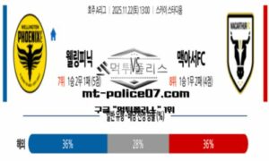 2025년 11웦 22일 13:00 호주 A리그 웰링턴 피닉스 vs 맥애서FC 스포츠 픽