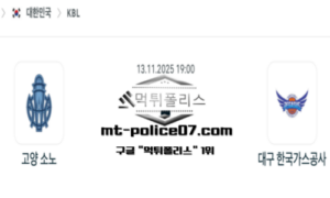 2025년 11월 13일 19:00 KBL 프로농구 고양 소노 vs 대구 한국가스공사 스포츠 픽
