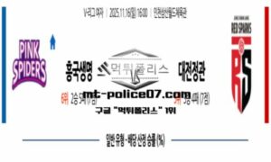 2025년 11월 16일 16:00 V-리그 여자 프로배구 흥국생명 vs 대전정관장 스포츠 픽 2025년 11월 16일 16:00 V-리그 여자 프로배구 흥국생명 vs 대전정관장 스포츠 픽