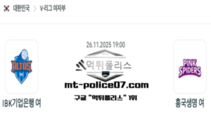2025년 11월 26일 19:00 V-리그 프로배구 IBK기업은행 vs 흥국생명 스포츠 픽