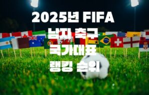 2025년 FIFA 남자 축구 국가대표 랭킹 순위