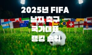 2025년 FIFA 남자 축구 국가대표 랭킹 순위