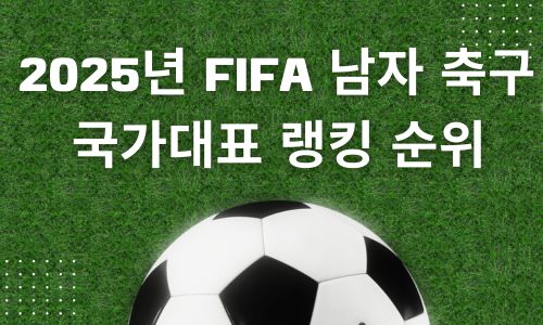 2025년 FIFA 남자 축구 국가대표 랭킹 순위